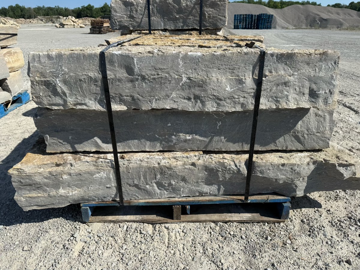 Guillotined 10 Inch
